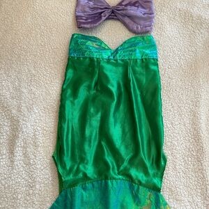Disney Princess Ariel Little Mermaid Prince Green and Pink Princess Costume